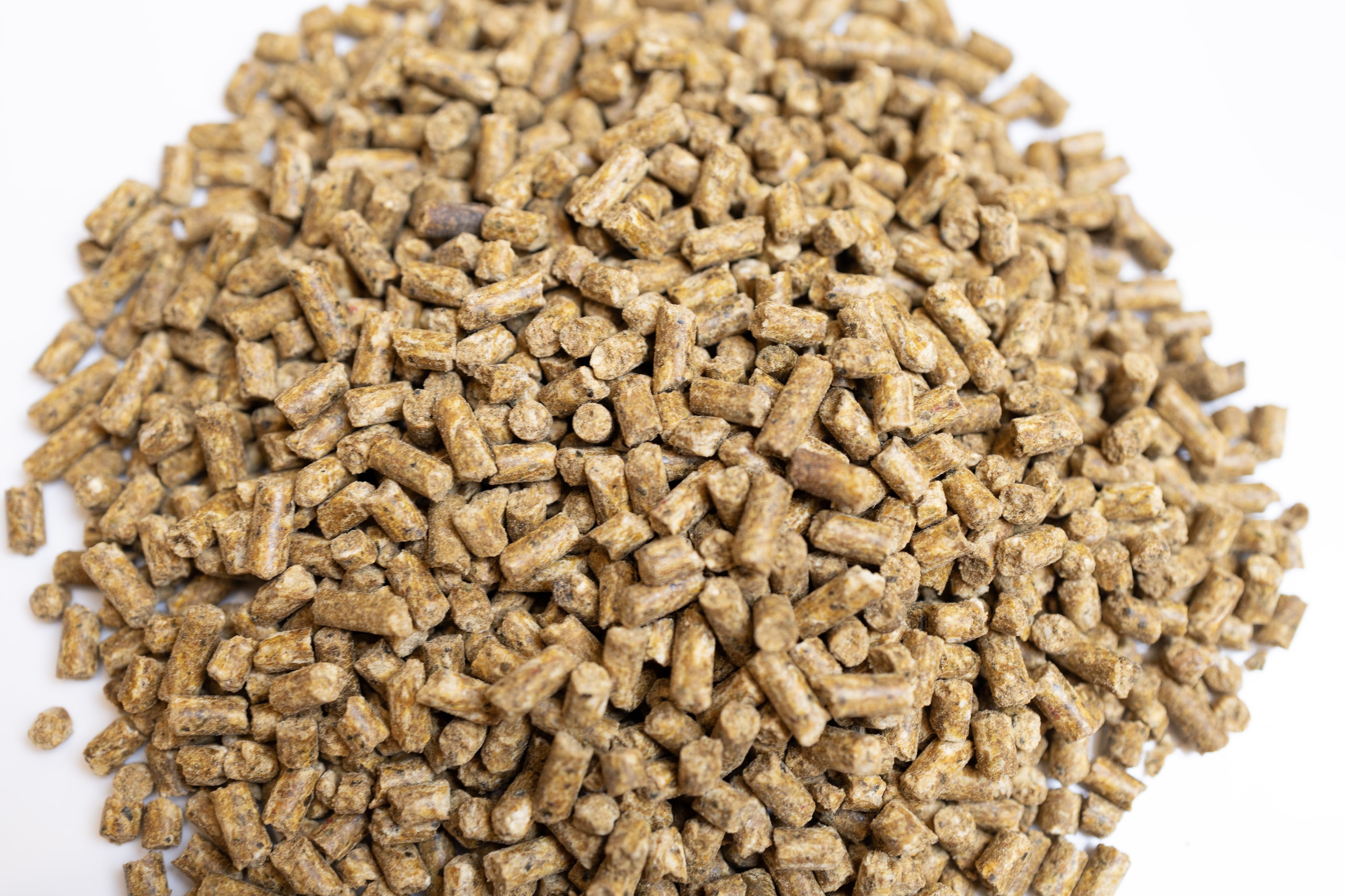 BioComplete Equine Pellet - 16lb bag